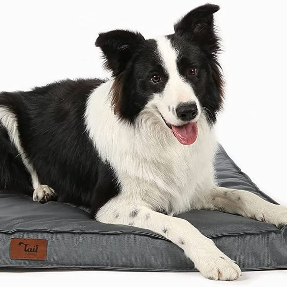 Orthopedic Waterproof Dog Beds for Large Dogs